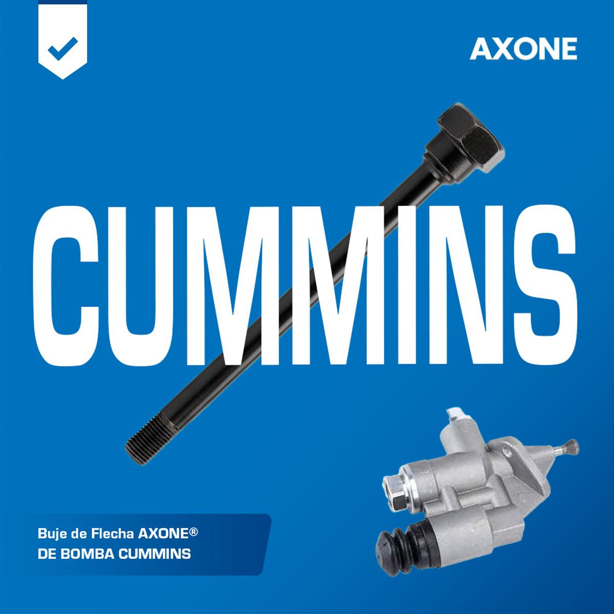 3033724 4.jpg 3033724 4.jpg