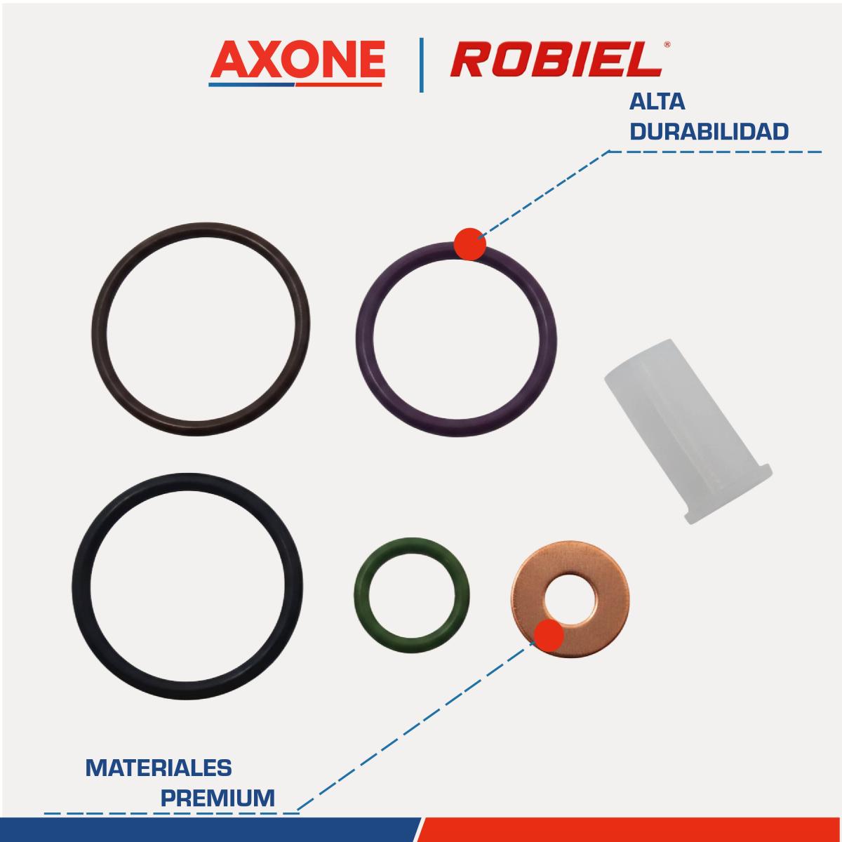 reparación 41012900 completa inyector daf mx13 reparación 41012900 completa inyector daf mx13