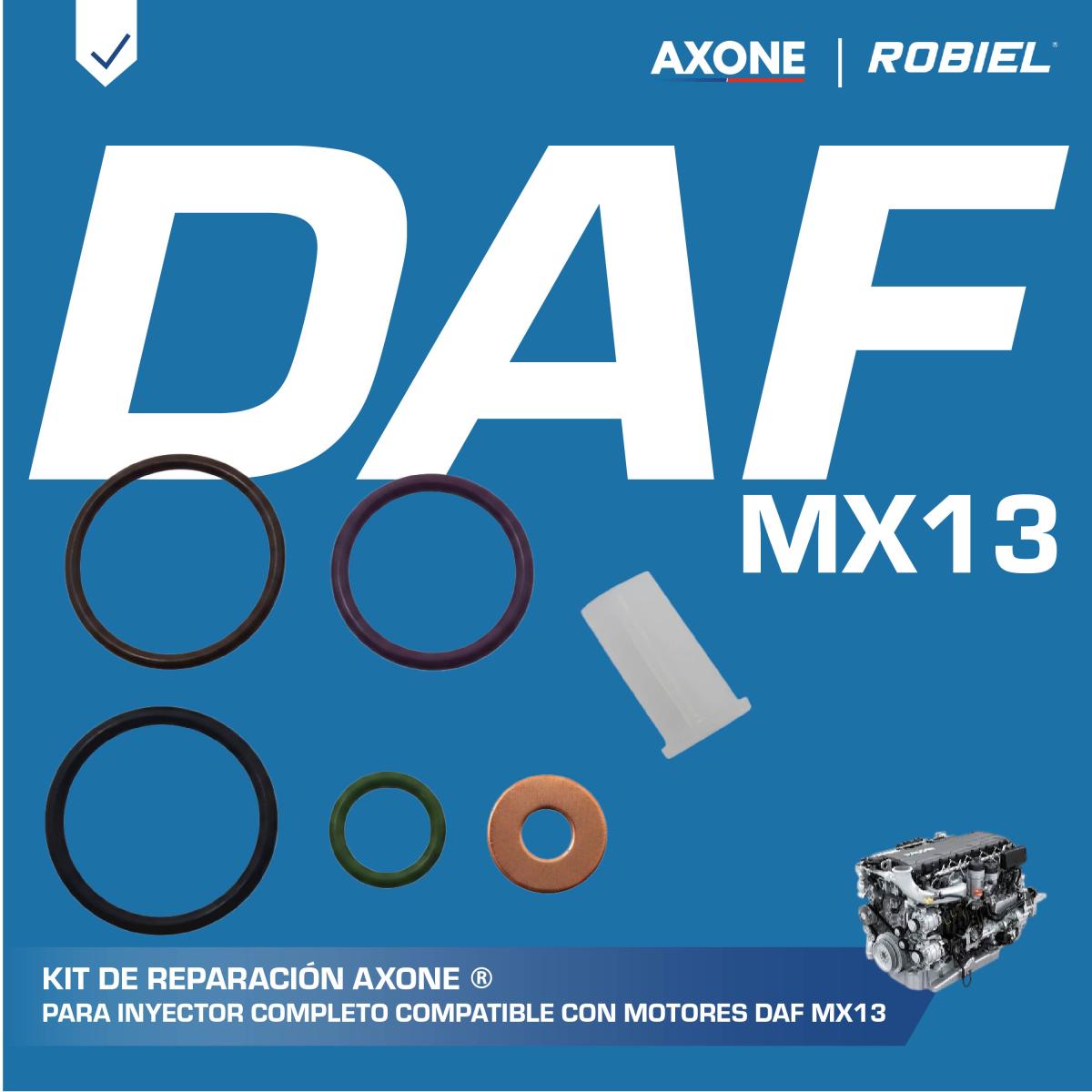reparación 41012900 completa inyector daf mx13 reparación 41012900 completa inyector daf mx13