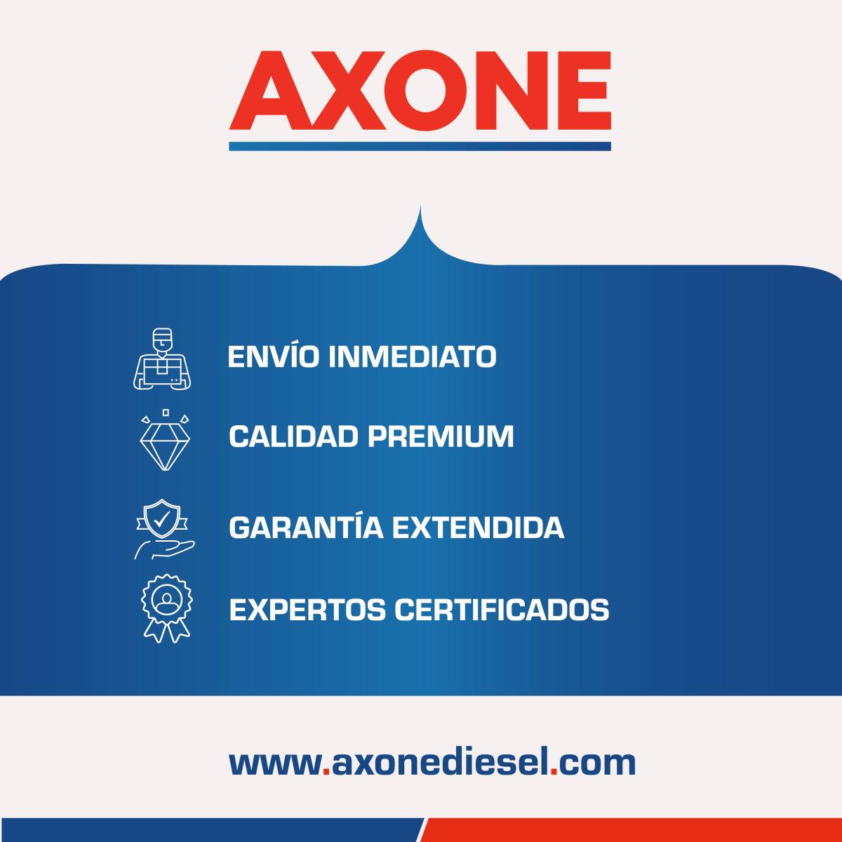 reparación 41012900 completa inyector daf mx13 reparación 41012900 completa inyector daf mx13
